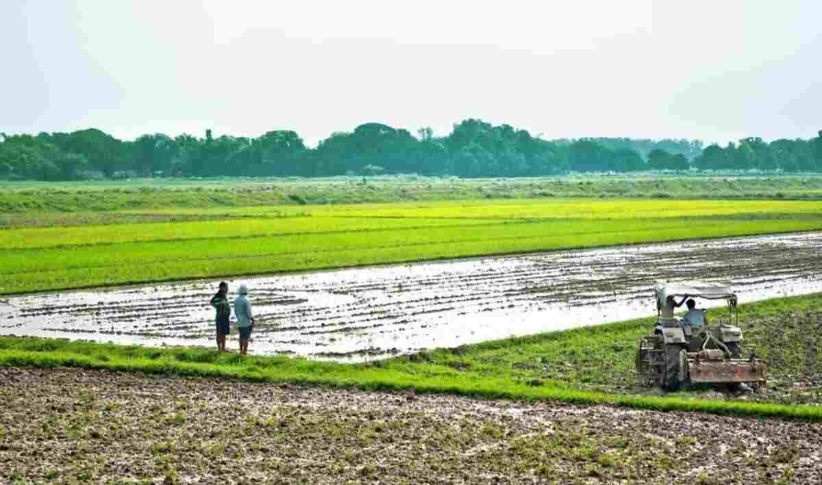 Madhya Pradesh, Project Vasundhara, sustainable farming, organic farming, farmer producer companies, Samunnati, agriculture India, low-residue farming,